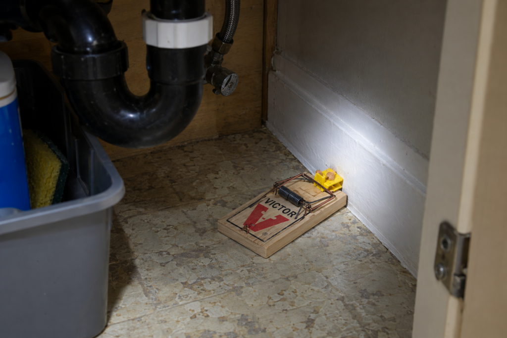 Wooden snap trap baited with peanut butter set against a baseboard under a kitchen sink